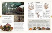 Hogwarts Legacy - Der offizielle Guide zum Spiel - Abbildung 3