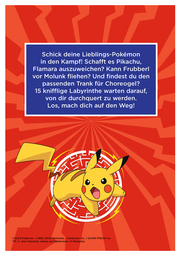 Pokémon: Die große Trainer-Box - Illustrationen 6