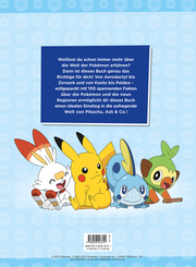 Pokémon: 100 Fakten über Pokémon - von Aerodactyl bis Zoroark - Illustrationen 3