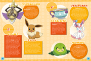 Pokémon: 100 Fakten über Pokémon - von Aerodactyl bis Zoroark - Illustrationen 2