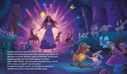 Disney Wish: Asha und das Königreich der Wünsche - Abbildung 2