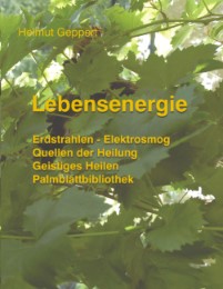 Lebensenergie - Cover
