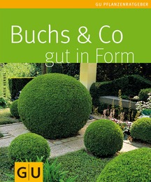 Buchs & Co gut in Form