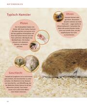 Hamster - Abbildung 3