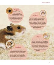 Hamster - Abbildung 4
