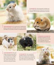 Hamster - Abbildung 6