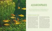 Das Aquarium - Abbildung 5