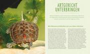 Wasserschildkröten - Abbildung 3