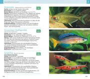 Aquarienfische von A bis Z - Abbildung 7