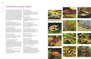 Praxishandbuch Aquarium - Abbildung 6