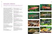 Praxishandbuch Aquarium - Abbildung 7