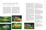 Praxishandbuch Aquarium - Abbildung 8