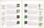 Das große GU Praxishandbuch Pflanzenschnitt - Abbildung 8