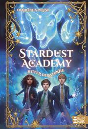 Stardust Academy - Hüter der Sterne - Cover