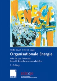 Organisationale Energie - Abbildung 1