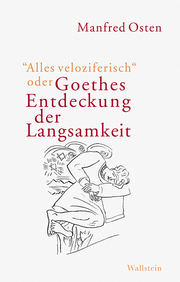 'Alles veloziferisch' oder Goethes Entdeckung der Langsamkeit - Cover