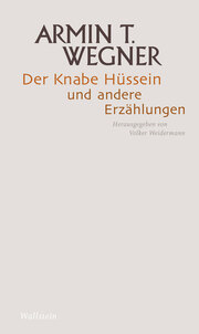 Der Knabe Hüssein und andere Erzählungen - Cover