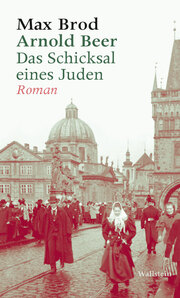 Arnold Beer. Das Schicksal eines Juden. Roman - Cover