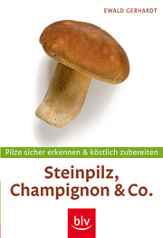 Steinpilz, Champignon & Co