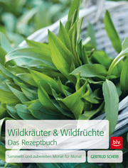 Wildkräuter & Wildfrüchte - Das Rezeptbuch
