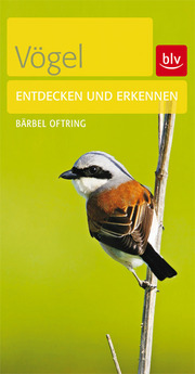 Vögel - Cover