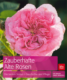 Zauberhafte Alte Rosen - Cover
