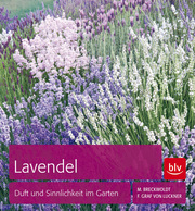 Lavendel - Cover
