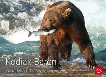 Kodiak-Bären