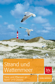 Strand und Wattenmeer - Cover