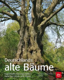 Deutschlands alte Bäume