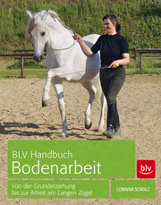 BLV Handbuch Bodenarbeit