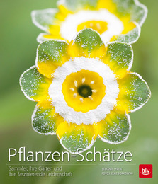 Pflanzen-Schätze - Cover