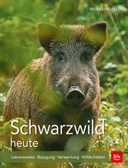 Schwarzwild heute - Cover