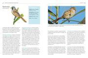 Das BLV Handbuch Vögel - Abbildung 5
