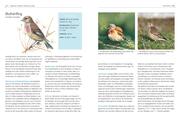 Das BLV Handbuch Vögel - Abbildung 6