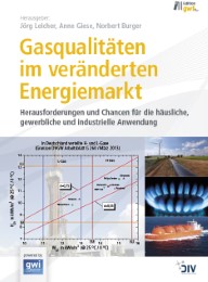 Gasqualitäten im veränderten Energiemarkt - Cover