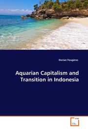 Aquarian Capitalism and Transition in Indonesia