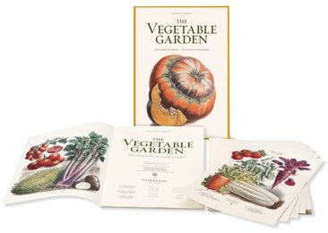 Album Vilmorin - The Vegetable Garden