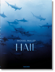 Haie - Cover
