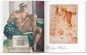 Michelangelo - Abbildung 5