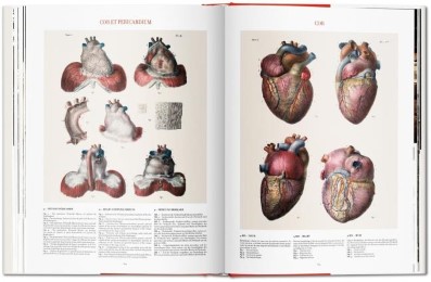 Atlas of Human Anatomy and Surgery - Abbildung 3