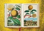 J. C. Volkamer. The Book of Citrus Fruits - Abbildung 6