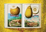 J. C. Volkamer. The Book of Citrus Fruits - Abbildung 9