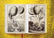 J. C. Volkamer. The Book of Citrus Fruits - Abbildung 12