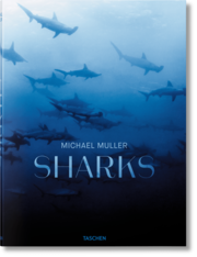 Michael Muller. Sharks. Face-to-Face with the Oceans Endangered Predator - Cover