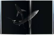 Michael Muller. Sharks. Face-to-Face with the Oceans Endangered Predator - Abbildung 10