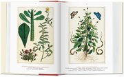 Albertus Seba: Cabinet of Natural Curiosities/Das Naturalienkabinett/Le Cabinet des curiosités naturelles - Abbildung 3