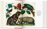 Albertus Seba: Cabinet of Natural Curiosities/Das Naturalienkabinett/Le Cabinet des curiosités naturelles - Abbildung 4