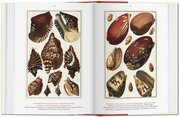 Albertus Seba: Cabinet of Natural Curiosities/Das Naturalienkabinett/Le Cabinet des curiosités naturelles - Abbildung 6