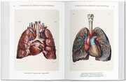 Jean Marc Bourgery. The Complete Atlas of Human Anatomy and Surgery - Abbildung 4